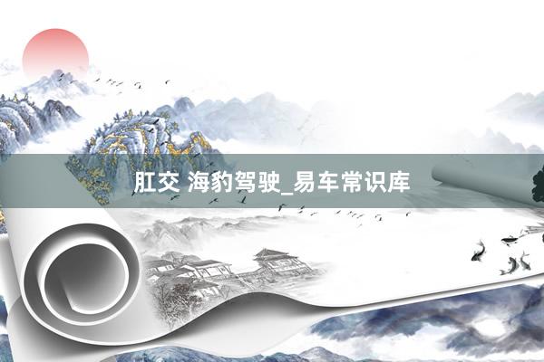 肛交 海豹驾驶_易车常识库