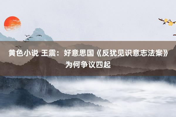 黄色小说 王震：好意思国《反犹见识意志法案》为何争议四起