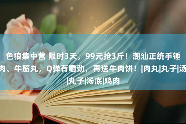 色狼集中营 限时3天，99元抢3斤！潮汕正统手锤手打牛肉、牛筋丸，Q弹有嚼劲，再送牛肉饼！|肉丸|丸子|汤底|鸡肉