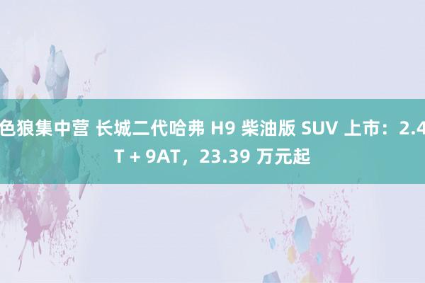 色狼集中营 长城二代哈弗 H9 柴油版 SUV 上市：2.4T + 9AT，23.39 万元起