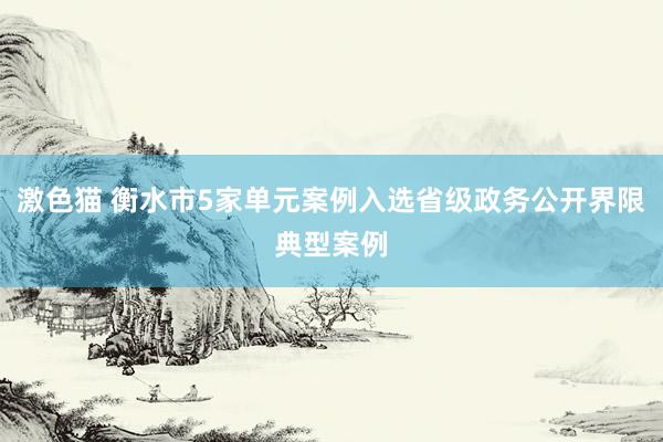 激色猫 衡水市5家单元案例入选省级政务公开界限典型案例