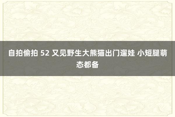 自拍偷拍 52 又见野生大熊猫出门遛娃 小短腿萌态都备