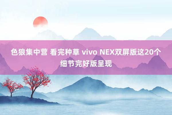 色狼集中营 看完种草 vivo NEX双屏版这20个细节完好版呈现