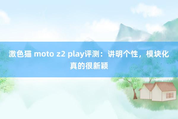 激色猫 moto z2 play评测：讲明个性，模块化真的很新颖