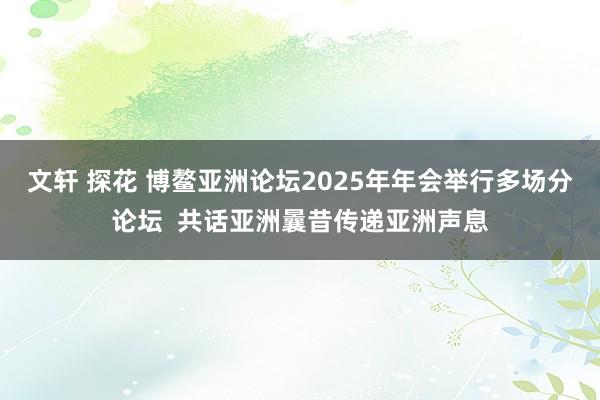 文轩 探花 博鳌亚洲论坛2025年年会举行多场分论坛  共话亚洲曩昔传递亚洲声息