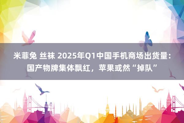 米菲兔 丝袜 2025年Q1中国手机商场出货量：国产物牌集体飘红，苹果或然“掉队”