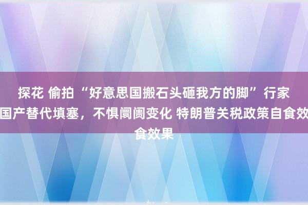探花 偷拍 “好意思国搬石头砸我方的脚” 行家：国产替代填塞，不惧阛阓变化 特朗普关税政策自食效果