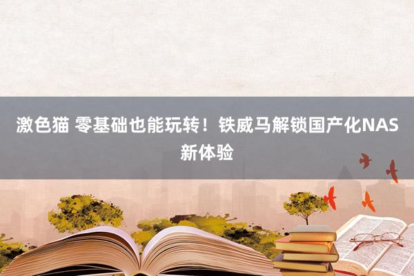 激色猫 零基础也能玩转！铁威马解锁国产化NAS新体验