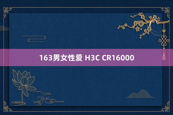 163男女性爱 H3C CR16000