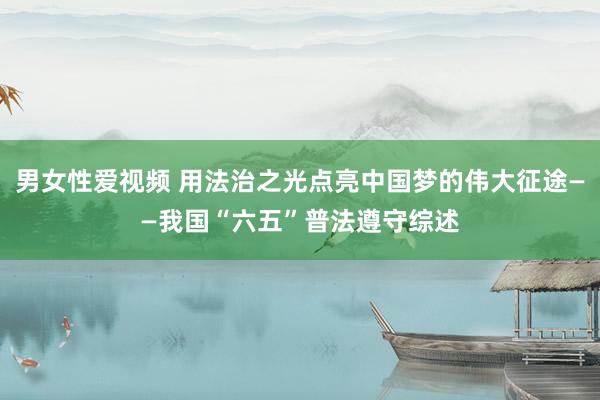男女性爱视频 用法治之光点亮中国梦的伟大征途——我国“六五”普法遵守综述