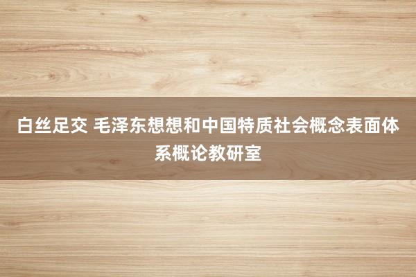 白丝足交 毛泽东想想和中国特质社会概念表面体系概论教研室