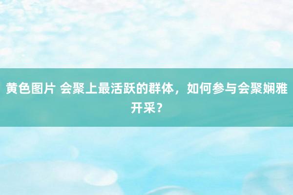 黄色图片 会聚上最活跃的群体，如何参与会聚娴雅开采？