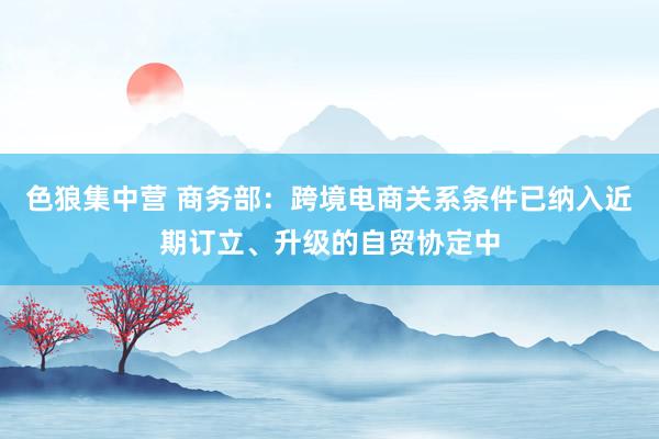 色狼集中营 商务部：跨境电商关系条件已纳入近期订立、升级的自贸协定中