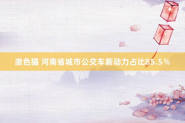 激色猫 河南省城市公交车新动力占比85.5％