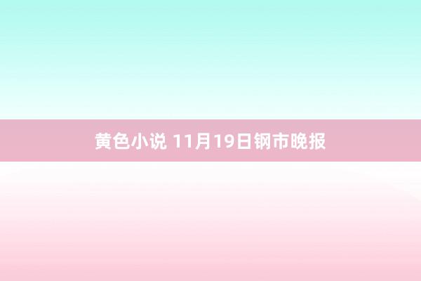 黄色小说 11月19日钢市晚报