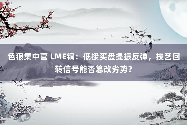 色狼集中营 LME铜：低接买盘提振反弹，技艺回转信号能否篡改劣势？