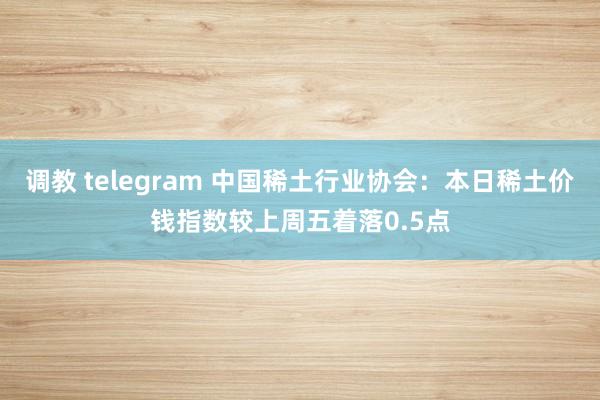 调教 telegram 中国稀土行业协会：本日稀土价钱指数较上周五着落0.5点