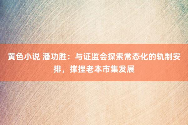 黄色小说 潘功胜：与证监会探索常态化的轨制安排，撑捏老本市集发展