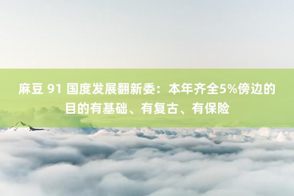 麻豆 91 国度发展翻新委：本年齐全5%傍边的目的有基础、有复古、有保险