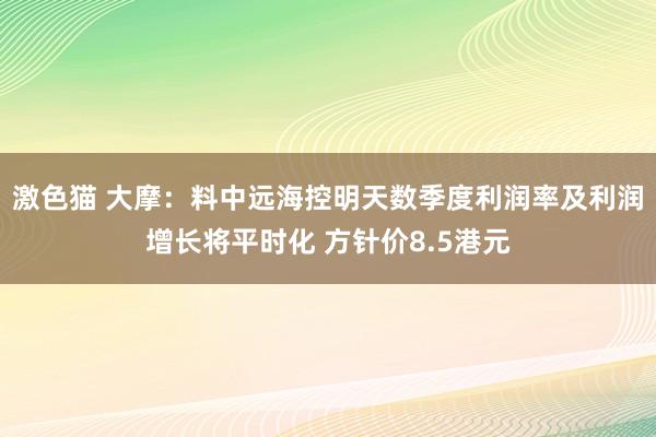 激色猫 大摩：料中远海控明天数季度利润率及利润增长将平时化 方针价8.5港元